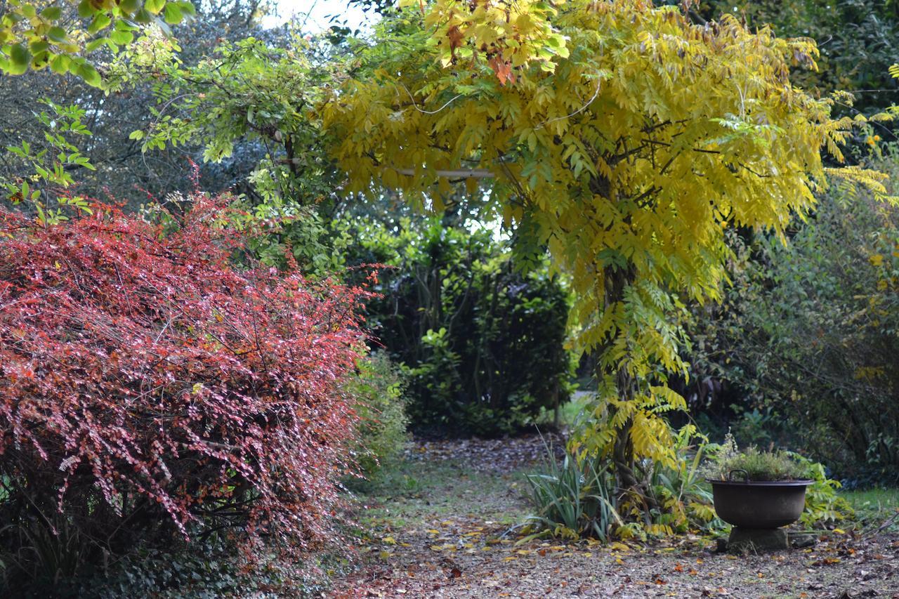 Domaine De Benveau Brécy Dış mekan fotoğraf